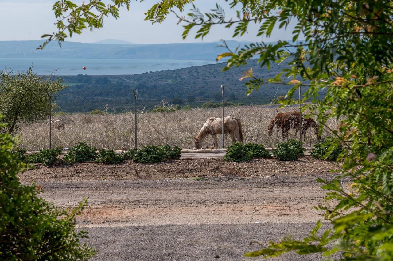 Nof Kinneret Cabins Had Nes Exterior foto